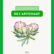 L’artichaut : votre allié naturel pour une meilleure digestion et détoxification ! 🌿

Découvrez les bienfaits de l’artichaut pour prendre soin de votre foie, améliorer votre digestion et soutenir votre santé cardiovasculaire. Avec PureDetox®, profitez de ses vertus détoxifiantes et digestives pour favoriser un bien-être optimal.

L’artichaut peut être consommé cuit ou en jus. Sous forme de compléments alimentaires, il est disponible en différentes présentations : infusion, gélules ou concentré à diluer.